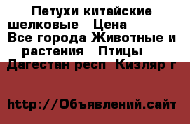 Петухи китайские шелковые › Цена ­ 1 000 - Все города Животные и растения » Птицы   . Дагестан респ.,Кизляр г.